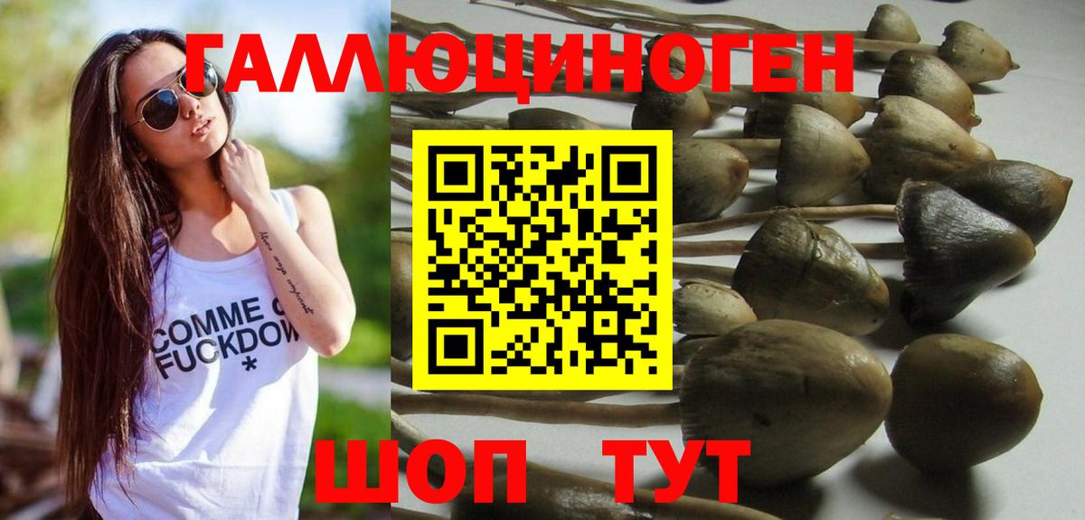 Кохма  Псилоцибиновые грибы Psilocybe  Вход с VPN  Галлюциногенные грибы GOLDEN TEACHER 